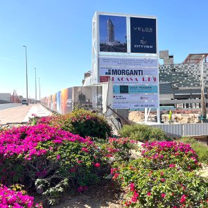 WhatsApp Image 2025-12-22 at 11.29.06 (1)